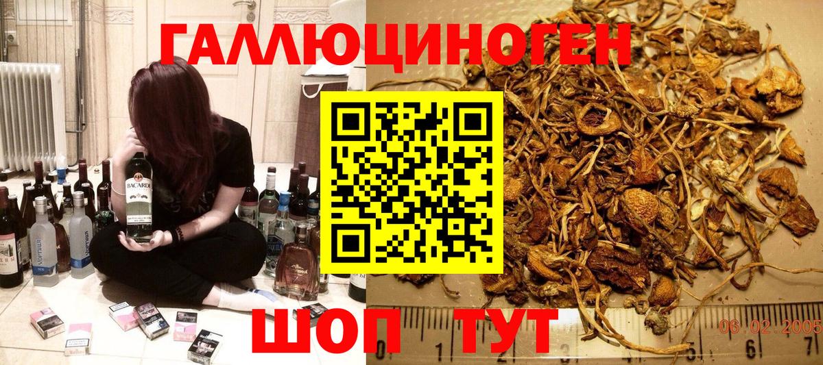 Кириши  Галлюциногенные грибы мухоморы  купить   Вход с VPN  Галлюциногенные грибы Psilocybe 